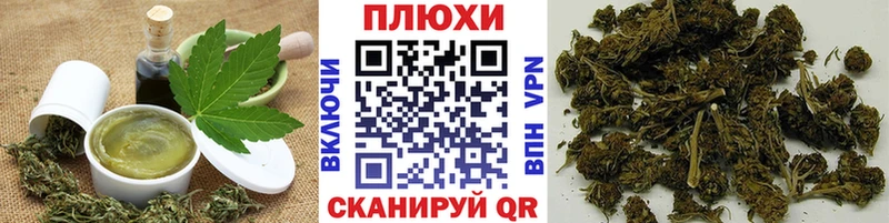 Canna-Cookies марихуана  МЕГА tor  Шуя 