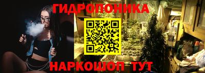 сатива Нальчик