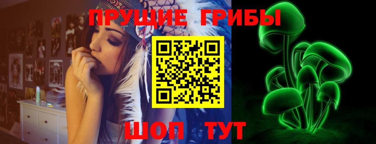Псилоцибиновые грибы ЛСД Шуя