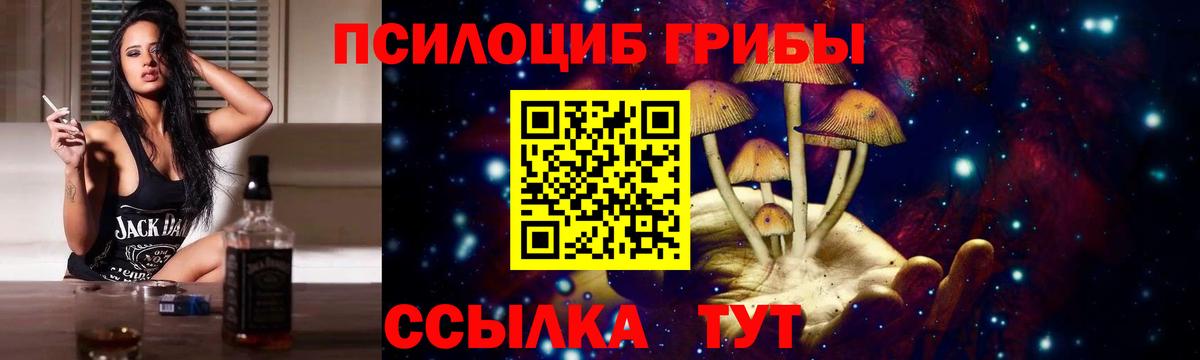 хочу наркоту  Вход с VPN  Шуя  Псилоцибиновые грибы GOLDEN TEACHER 