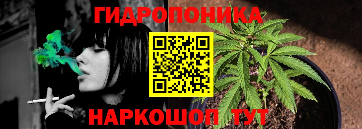Конопля гибрид Шуя